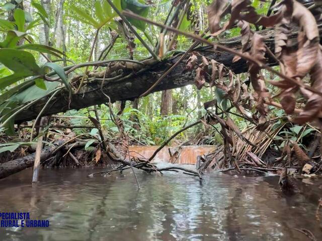 Chácara para Venda em Bela Vista de Goiás - 4