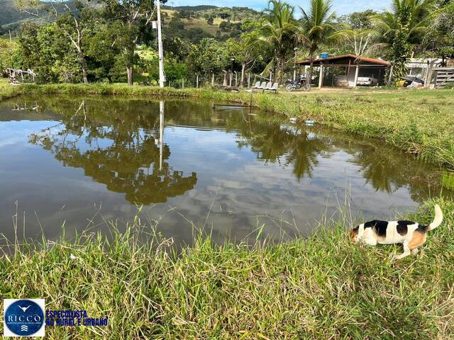 Chácara para Venda em Taquaral de Goiás - 2