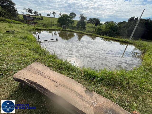 Chácara para Venda em Taquaral de Goiás - 3