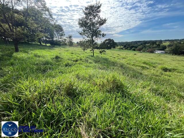 Chácara para Venda em Taquaral de Goiás - 5