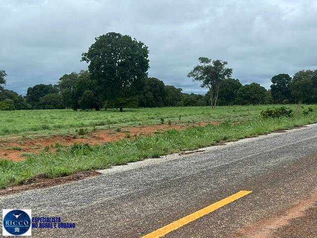Fazenda para Venda em Mundo Novo - 5