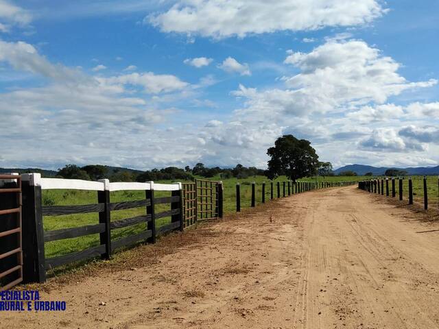 Venda em Zona rural - Porangatu