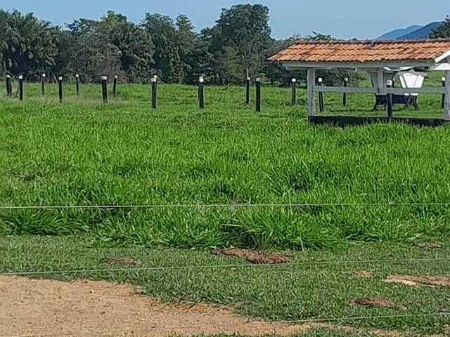 Fazenda para Venda em Porangatu - 3