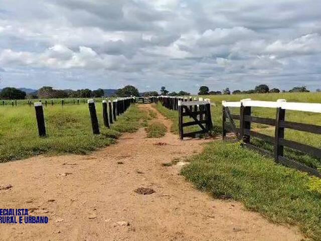 Fazenda para Venda em Porangatu - 2