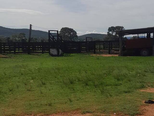 Fazenda para Venda em Porangatu - 4