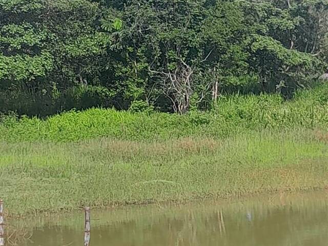 Fazenda para Venda em Porangatu - 5