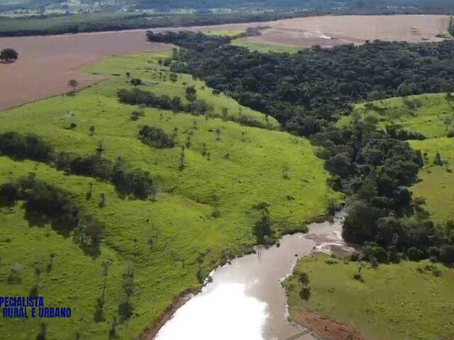 Fazenda para Venda em Ivolândia - 3