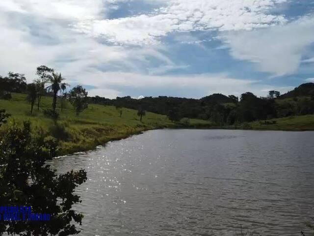 Fazenda para Venda em Ivolândia - 2