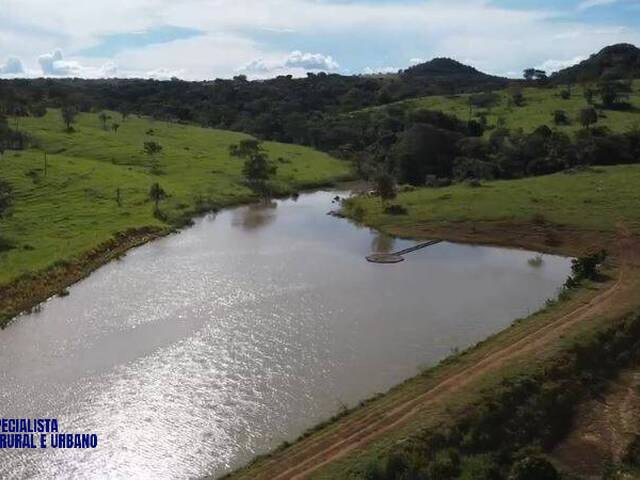 Fazenda para Venda em Ivolândia - 4