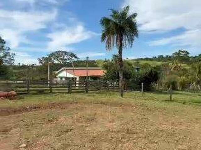 Fazenda para Venda em Ivolândia - 5