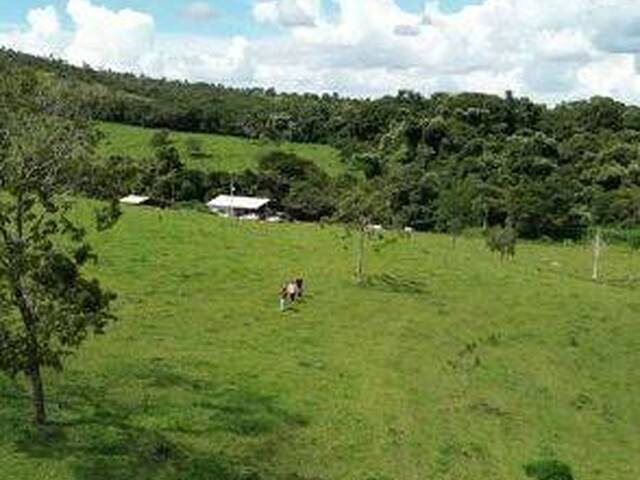 #4353 - Chácara para Venda em Bela Vista de Goiás - GO