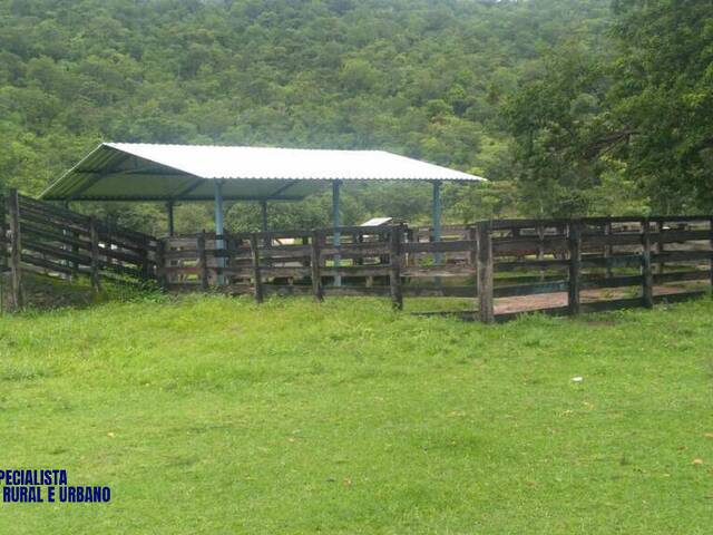 #4354 - Fazenda para Venda em Fazenda Nova - GO