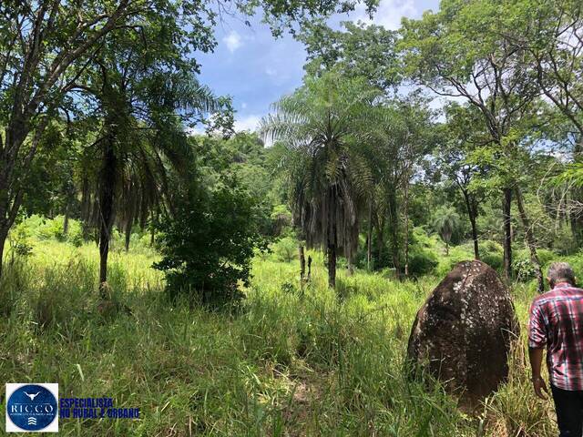 Fazenda para Venda em Fazenda Nova - 4