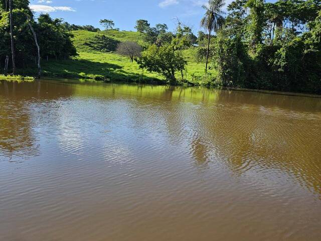 Chácara para Venda em Petrolina de Goiás - 2