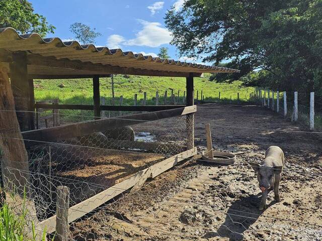 Chácara para Venda em Petrolina de Goiás - 5