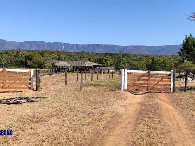 #4356 - Fazenda para Venda em Formosa - GO