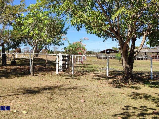 #4356 - Fazenda para Venda em Formosa - GO