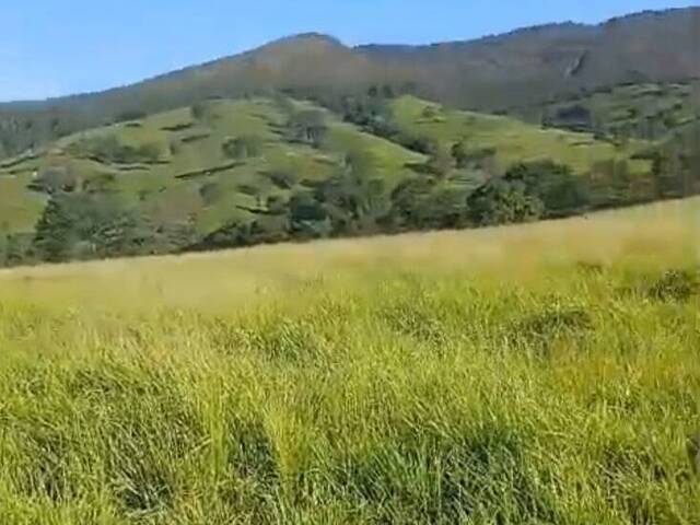 Chácara para Venda em Mossâmedes - 4
