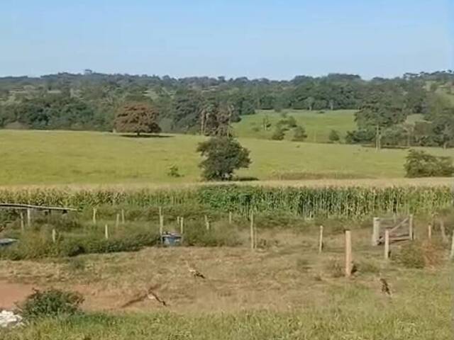 Chácara para Venda em Mossâmedes - 5