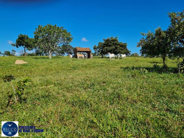 #4358 - Fazenda para Venda em Caiapônia - GO
