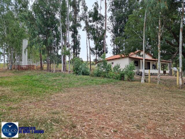 #4358 - Fazenda para Venda em Caiapônia - GO