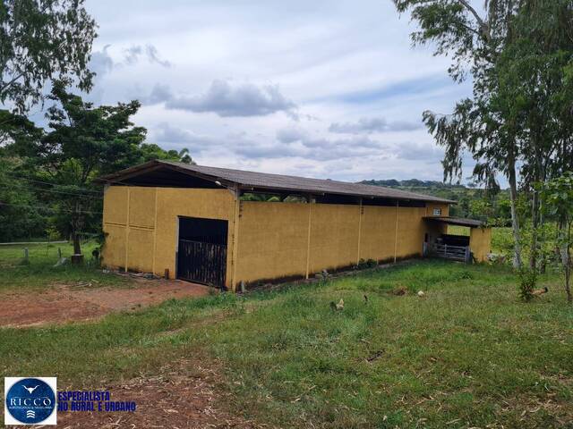 Fazenda para Venda em Caiapônia - 5