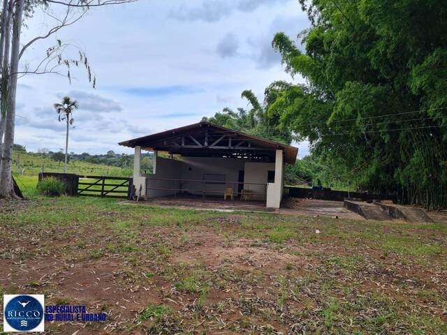 Fazenda para Venda em Caiapônia - 4