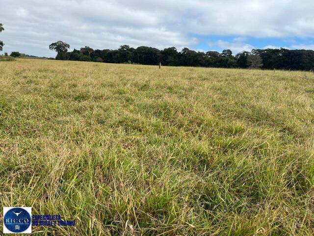 Chácara para Venda em Taquaral de Goiás - 2