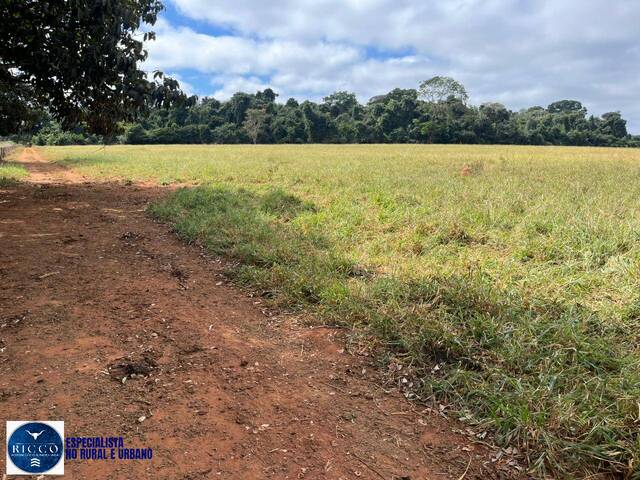 Chácara para Venda em Taquaral de Goiás - 3