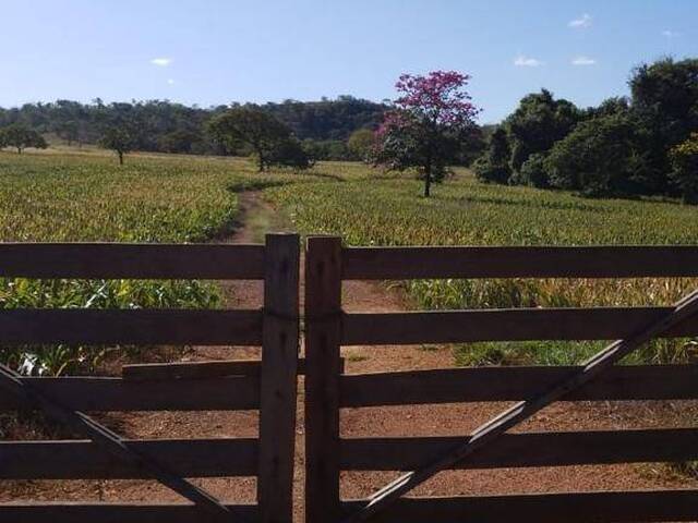 Chácara para Venda em Bela Vista de Goiás - 2