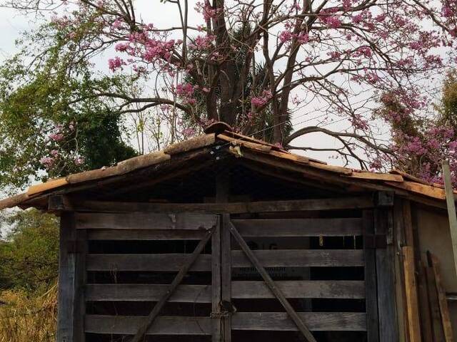 Chácara para Venda em Bela Vista de Goiás - 3