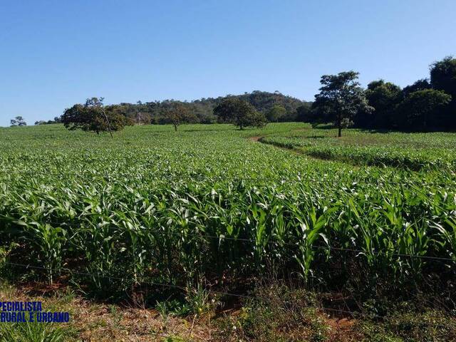 Chácara para Venda em Bela Vista de Goiás - 4