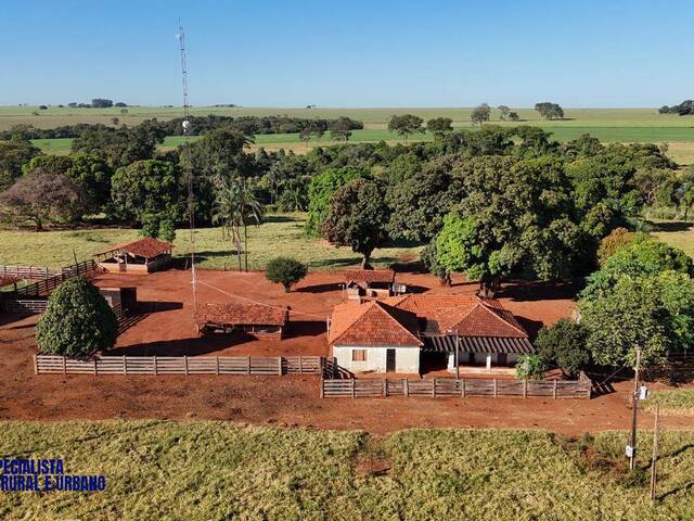 Fazenda para Venda em Quirinópolis - 4