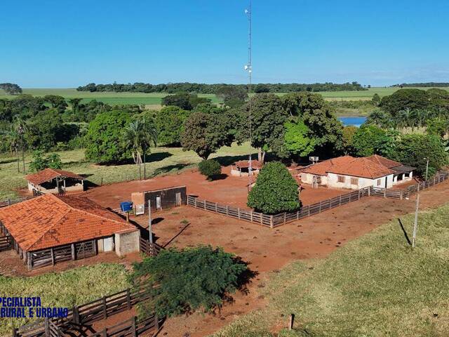 #4365 - Fazenda para Venda em Quirinópolis - GO