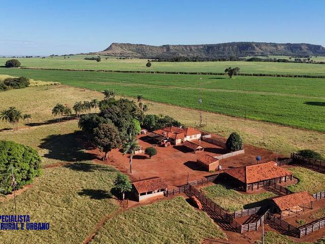 #4365 - Fazenda para Venda em Quirinópolis - GO