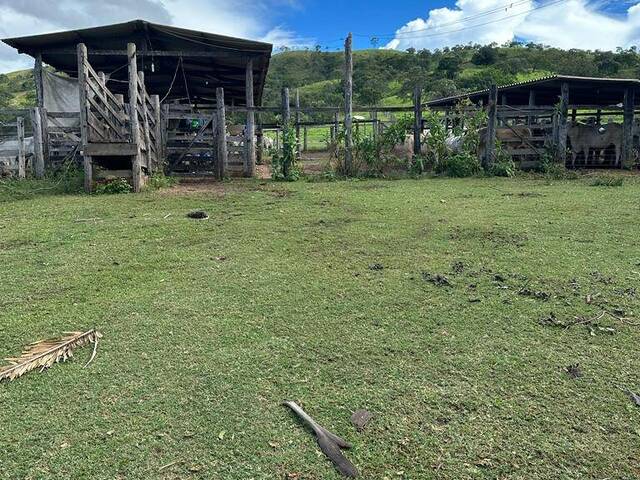 #4366 - Fazenda para Venda em Padre Bernardo - GO