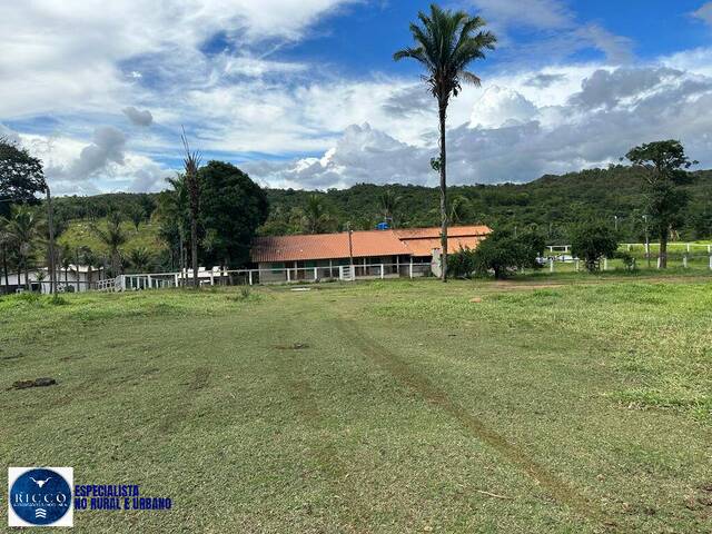 #4366 - Fazenda para Venda em Padre Bernardo - GO