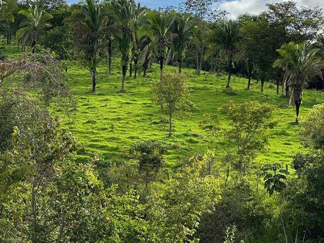 #4366 - Fazenda para Venda em Padre Bernardo - GO