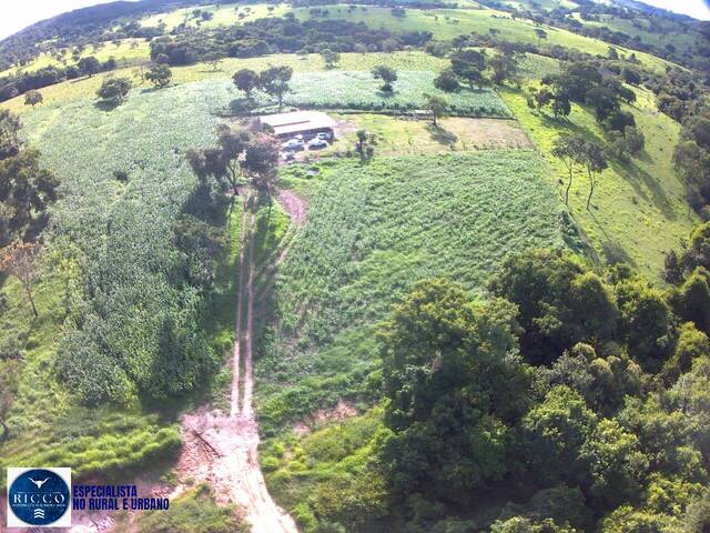 Chácara para Venda em Bela Vista de Goiás - 2