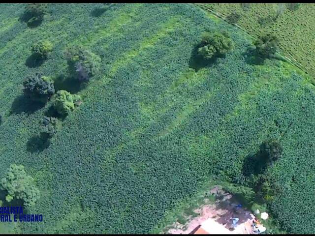 Chácara para Venda em Bela Vista de Goiás - 3