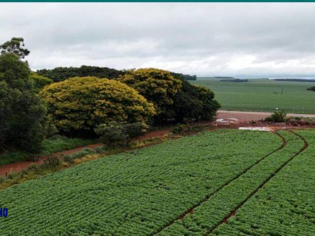 #4368 - Fazenda para Venda em Anápolis - GO