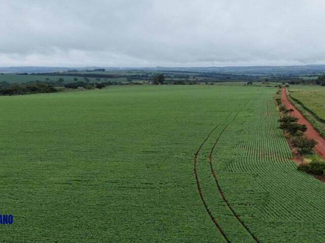 Fazenda para Venda em Anápolis - 4