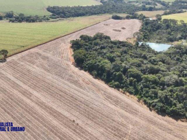 #4368 - Fazenda para Venda em Anápolis - GO