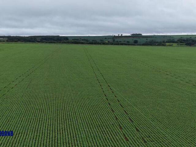 Fazenda para Venda em Anápolis - 5