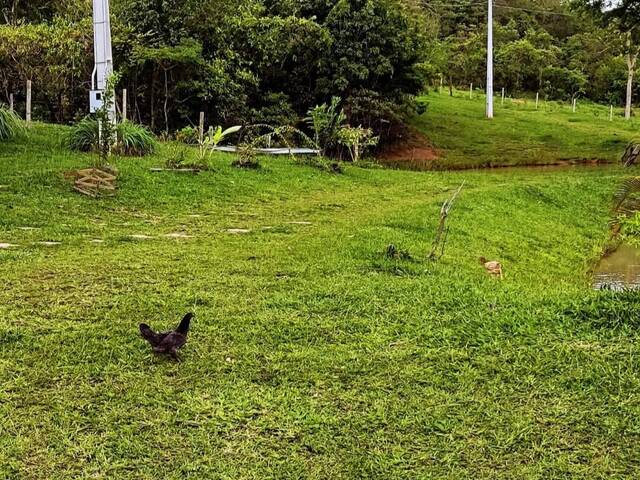 Chácara para Venda em Abadiânia - 4