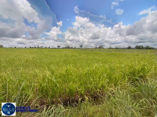 Venda em zona rural - Vila Propício