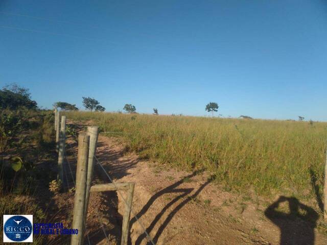 Chácara para Venda em Vila Propício - 5