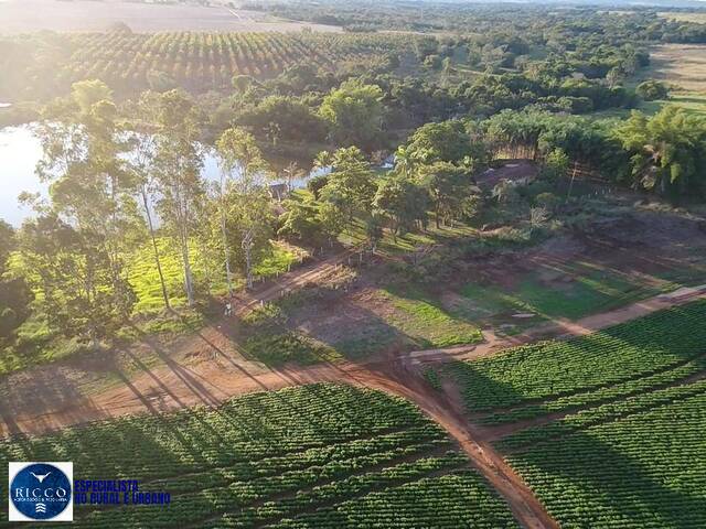 #4373 - Fazenda para Venda em Santa Rita do Novo Destino - GO