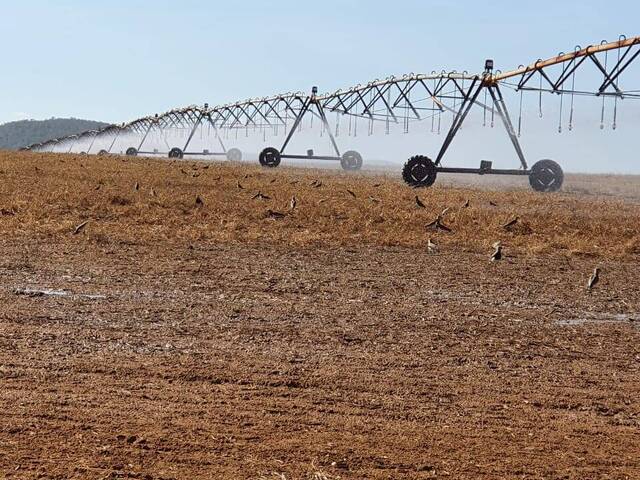 #4373 - Fazenda para Venda em Santa Rita do Novo Destino - GO