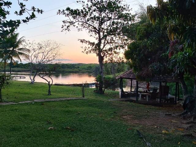 #4373 - Fazenda para Venda em Santa Rita do Novo Destino - GO